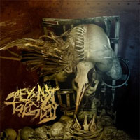 SEE YOU NEXT TUESDAY - PARASITE SEE YOU NEXT TUESDAY - PARASITE