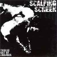 SCALPING SCREEN - TWELVE OUT OF CHAMBER SCALPING SCREEN - TWELVE OUT OF CHAMBER