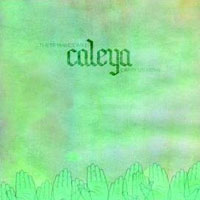 CALEYA - THESE WAVES WILL CARRY US HOME CALEYA - THESE WAVES WILL CARRY US HOME