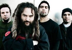 www.facebook.com/pages/soulfly/8616079092