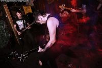 Copyright by www.returntothepit.com www.returntothepit.com