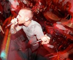 Copyright by www.facebook.com/pages/living-eyes/211735132171751 www.facebook.com/pages/living-eyes/211735132171751