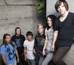 Copyright by www.facebook.com/alotlikebirds www.facebook.com/alotlikebirds