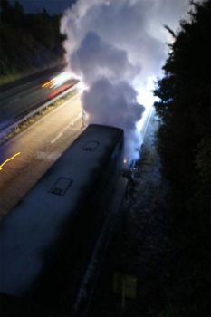 Copyright by www.lambgoat.com www.lambgoat.com