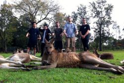 Copyright by www.facebook.com/counterpartshc www.facebook.com/counterpartshc