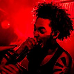 drk pixs photography | www.facebook.com/chris.barretto.9