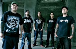 Copyright by peter svendsen peter svendsen