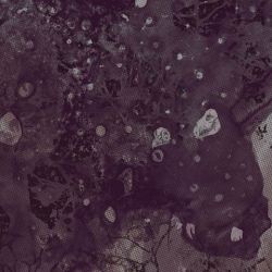 Copyright by www.centurymedia.de www.centurymedia.de