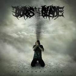 century media records